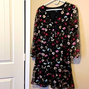 Sam Edelman dress with sheer embroidered sleeves